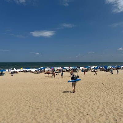Poodle Beach, Rehoboth Beach