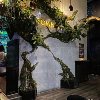 Town Bar & Lounge, Oakland