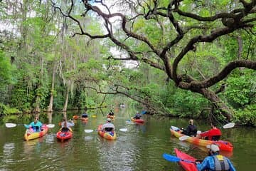 Scenic Half-Day Kayak or Paddleboard Rental – Dora Canal