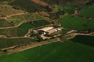 Private San Antonio Port, visit Chocalan Winery & Transfer Hotel