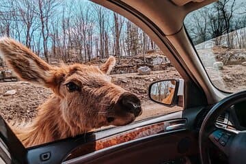 Ottawa Parc Omega Private Tour with Hotel Transfer