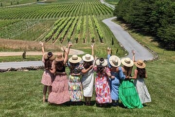 2 Vineyard Wine Tour of the Yadkin Valley