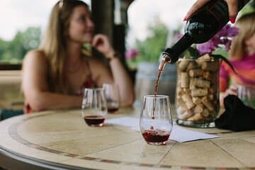 3 Vineyard Tour of the Yadkin Valley