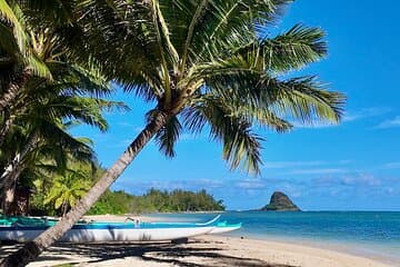 Private Circle Island Tour Oahu Customizable