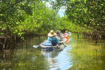 2 Hour Clear Kayak Mangrove Tunnel Eco Tour - Sarasota