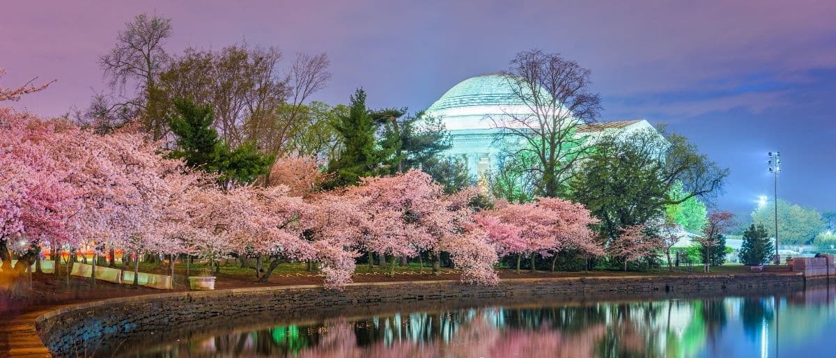 LGBTQ+-Friendly Hotels in Washington D.C. (2026)