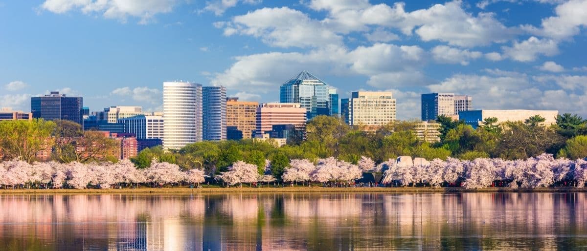 DC Black Pride 2026: Complete Weekend Guide