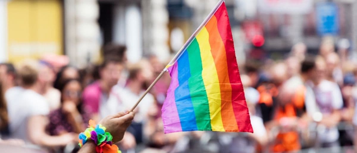 Twin Cities Pride 2026: Parade, Festival & Complete Party Guide