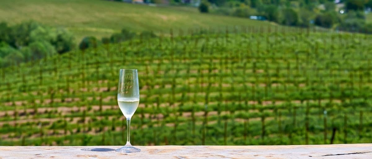 Sonoma County Pride 2026: Gay Guide to Wine Country Pride Near San Francisco