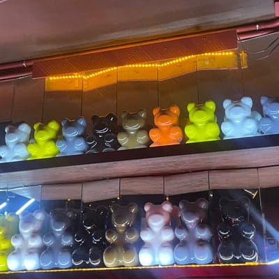 Nicho Bears & Bar